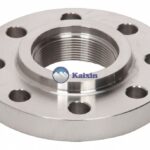 Stainless Steel Threaded Flange