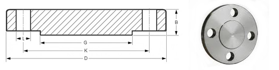 Stainless Steel Blind Flange - Stainless Steel Flange - 1